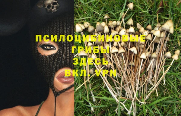 амф Баксан